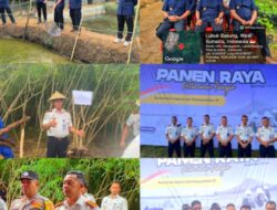 Lapas Kelas IIB Lubuk Basung, Panen Raya Serentak