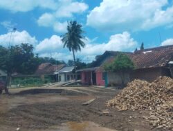 Ancam Kenyamanan dan Kesehatan Warga Sekitar, Diduga Lapak Singkong Di Desa Kembang Tanjung Milik ” SKM ” Timbulkan Bau Busuk