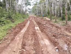 Lumpur dan Kerusakan: Potret Jalan Menuju PT OKI Pulp & Paper yang Memilukan