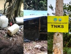 Dugaan PETI di Kawasan TNKS Sumatera Barat, PHBN Minta Gakkum Satgas PKH Halilintar Pusat Turun Tangan