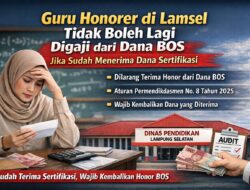 Sudah Terima Sertifikasi, Guru Honorer Tak Boleh Lagi Digaji dari Dana BOS: Simak Penjelasannya
