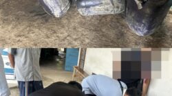 Belum Genap 1 Minggu Polres Way Kanan Ungkap Tindak Pidana BBM Illegal