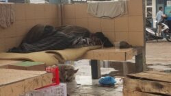Hanya Catat Data, Tak Ada Tindakan Nyata – Masyarakat Kecewa dengan Kehadiran Dinas Sosial dan Perdagangan Tangani Anak Punk di Pasar Shopping Kayuagung