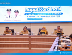 Pemkab Lampung Selatan Dorong Partisipasi Desa melalui Program Helau