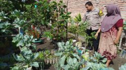 Dukung Ketahanan Pangan Nasional Bhabinkamtibmas Dumai Kota Dampingi Masyarakat Dalam Pengembangan Lahan Produktif