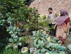 Dukung Ketahanan Pangan Nasional Bhabinkamtibmas Dumai Kota Dampingi Masyarakat Dalam Pengembangan Lahan Produktif