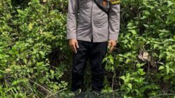 Bhabinkamtibmas Lepasliarkan Kucing Hutan Usai masuk ke Pemukiman Warga di Banjit