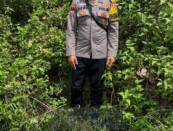 Bhabinkamtibmas Lepasliarkan Kucing Hutan Usai masuk ke Pemukiman Warga di Banjit