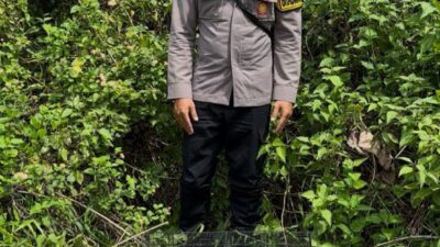 Bhabinkamtibmas Lepasliarkan Kucing Hutan Usai masuk ke Pemukiman Warga di Banjit