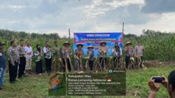 Kapolres Hadiri Panen Raya Jagung di Way Tuba, Dukung Ketahanan Pangan Nasional