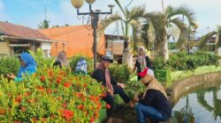 Membangkitkan Kembali Budaya Saling Kerja Sama, GP Ansor Kayong Utara dan Fatayat NU Seponti Bersih-bersih Area Monumen KTM