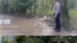 Polisi Gerak Cepat Tangani Kecelakaan Tunggal Truk Pengangkut Ternak di Banjit Way Kanan