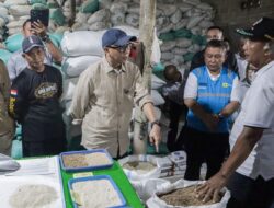 Bed Dryer Beroperasi di Rawa Jitu Selatan, Dorong Hilirisasi Pertanian dan Kesejahteraan Petani di Tulang Bawang