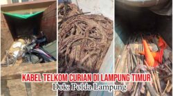 Terbongkarnya Dugaan Pencurian Kabel PT Telkom, Berawal dari Temuan Tim PPWI di Lampung Timur