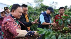 PHC Ubah Wajah Perkebunan Kopi Lampung, Gubernur Mirza Dorong Produktivitas Kopi Meningkat