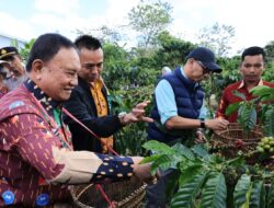 PHC Ubah Wajah Perkebunan Kopi Lampung, Gubernur Mirza Dorong Produktivitas Kopi Meningkat