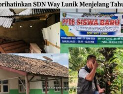 Diduga Palsukan Tanda Tangan Ketua Komite, Kepsek SDN Way Lunik Lampung Utara Terindikasi Korupsi Dana BOS