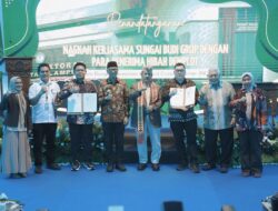 Provinsi Lampung Mantapkan Langkah Jadi Sentra Pengembangan Singkong Nasional, Dongkrak Produktivitas dan Kesejahteraan Petani Singkong