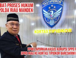Menembus Tembok Imunitas, PPWI Desak Mabes Polri Ambil Alih Kasus Korupsi SPPD Fiktif DPRD Riau