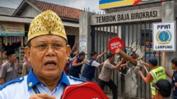 Soal Ritel Modern Ilegal, DPD PPWI Lampung Desak Bupati dan DPRD Tindak Tegas Penegakan Perda No 02/2016