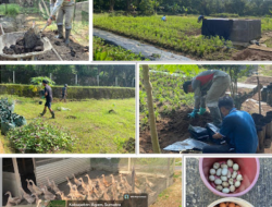 Lapas Kelas IIB Lubuk Basung,Kabupaten Agam Terus Memperkuat Program Pembinaan Kemandirian Bagi WBP