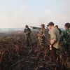 Gubernur Mirza Pastikan Penanganan Kebakaran di Braja Harjosari Terkendali, Tim Gabungan Cegah Api Masuk TN Way Kambas