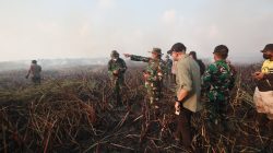 Gubernur Mirza Pastikan Penanganan Kebakaran di Braja Harjosari Terkendali, Tim Gabungan Cegah Api Masuk TN Way Kambas