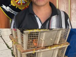 Polisi Amankan 98 Burung Tanpa Dokumen di Pelabuhan Bakauheni