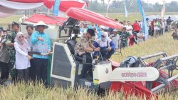 PM-AAS dan POC Dongkrak Produktivitas Padi, Gubernur Mirza Perkuat Kemandirian Petani