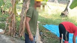 Geger Proyek P3A Way Gelang Rp195 Juta: Material Pesisir Dipakai, Mutu U-Ditch Dipertanyakan, Pengawasan Disorot!