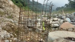 Pembangunan Proyek Jembatan Di Jorong Tigo Silungkang, Kecamatan Palembayan Cukup Memprihatinkan
