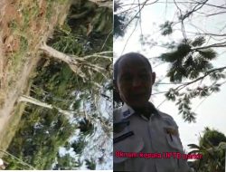 Bukannya Memberi Penjelasan, Oknum Kepala UPTD Parkir Dishub Lampung Utara Malah Bentak Wartawan