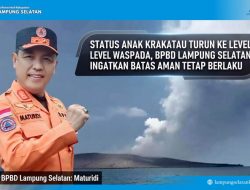 Status Anak Krakatau Turun ke Level Waspada, BPBD Lampung Selatan Ingatkan Batas Aman Tetap Berlaku