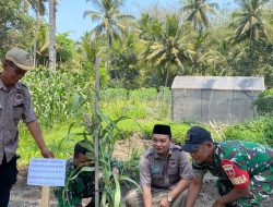 Hari Tani Nasional, DPD Tani Merdeka Magelang Gelar Sarasehan & Penanaman Cabai Jamu–Sorgum