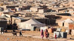 Skandal Penyelewengan Bantuan Kemanusiaan di Kamp Tindouf: Keuangan Polisario Dipertanyakan, Wilson Lalengke Desak Pembubaran Kamp
