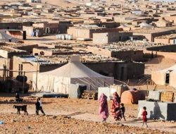 Skandal Penyelewengan Bantuan Kemanusiaan di Kamp Tindouf: Keuangan Polisario Dipertanyakan, Wilson Lalengke Desak Pembubaran Kamp