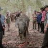 Pemprov Lampung Dorong Keseimbangan Konservasi Gajah dan Aktivitas Masyarakat