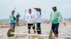 Pemprov Lampung Perkuat Pertanian Modern untuk Tingkatkan Produktivitas dan Pendapatan Petani