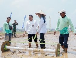 Pemprov Lampung Perkuat Pertanian Modern untuk Tingkatkan Produktivitas dan Pendapatan Petani