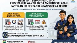 Beda TMT, Beda Waktu Gaji PPPK Paruh Waktu, BKD Lampung Selatan Pastikan SK Perpanjangan Segera Terbit