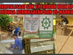 Proyek Revitalisasi SDN 1 Pekurun Udik Rp 822 Juta Diduga Bermasalah dan Di-markup