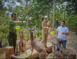 Wagub Jihan Dorong Pengelolaan Hutan Lampung yang Lestari dan Berkelanjutan