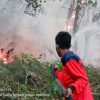 Dua Titik Karhutla di Tulang Bawang dan Lamteng Terkendali, BPBD Sampaikan Pesan Gubernur: Tingkatkan Kewaspadaan Karhutla