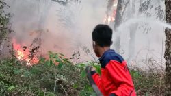 Dua Titik Karhutla di Tulang Bawang dan Lamteng Terkendali, BPBD Sampaikan Pesan Gubernur: Tingkatkan Kewaspadaan Karhutla