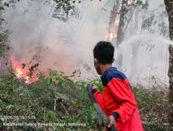 Dua Titik Karhutla di Tulang Bawang dan Lamteng Terkendali, BPBD Sampaikan Pesan Gubernur: Tingkatkan Kewaspadaan Karhutla