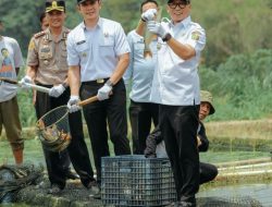 Inovasi Pakan Mandiri Tekan Biaya Produksi hingga 50 Persen, Gubernur Mirza Dorong Pembudidaya Ikan Lampung Makin Sejahtera