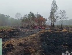 Hujan Bantu Padamkan Karhutla di Way Kambas, Pemprov Lampung Lanjutkan Pemantauan